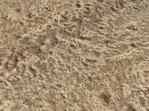 desert wasteland ground pbr pack 4 CG Textures