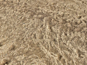 desert wasteland ground pbr pack 4 CG Textures