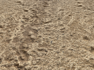 desert wasteland ground pbr pack 4 CG 텍스쳐