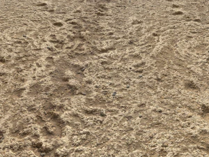 desert wasteland ground pbr pack 4 CG Textures