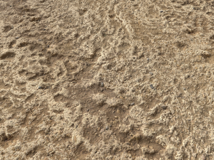 desert wasteland ground pbr pack 4 CG 텍스쳐