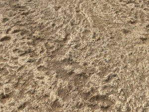 desert wasteland ground pbr pack 4 CG Textures