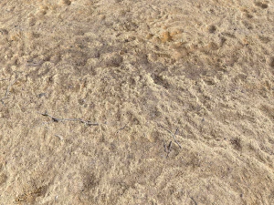 desert wasteland ground pbr pack 4 CG Textures