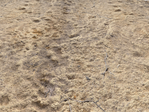 desert wasteland ground pbr pack 4 CG 텍스쳐