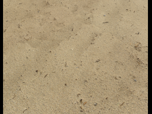 sand beach terrain pbr pack 7 CG Textures