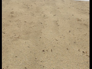 sand beach terrain pbr pack 7 Texturas CG