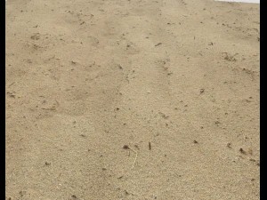 sand beach terrain pbr pack 7 CG Textures