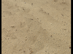 sand beach terrain pbr pack 7 Texturas CG