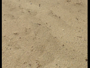 sand beach terrain pbr pack 7 CG Textures