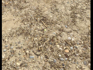sand beach terrain pbr pack 7 CG Textures