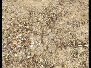 sand beach terrain pbr pack 7 CG Textures
