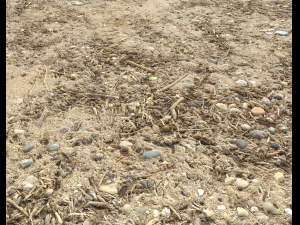 sand beach terrain pbr pack 7 Texturas CG
