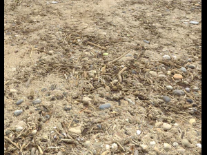 sand beach terrain pbr pack 7 CG Textures
