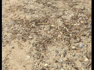 sand beach terrain pbr pack 7 Texturas CG