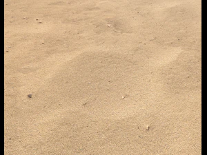 sand beach terrain pbr pack 7 CG Textures