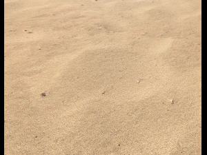 sand beach terrain pbr pack 7 CG Textures