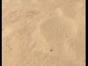 sand beach terrain pbr pack 7 Texturas CG