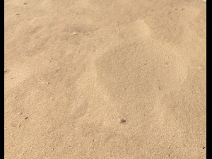 sand beach terrain pbr pack 7 CG Textures