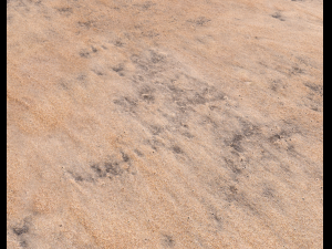 sand beach terrain pbr pack 7 Texturas CG