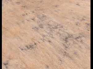 sand beach terrain pbr pack 7 CG Textures