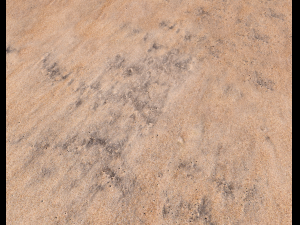 sand beach terrain pbr pack 7 Texturas CG
