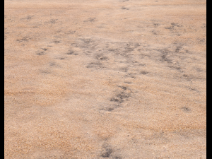 sand beach terrain pbr pack 7 Texturas CG