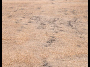 sand beach terrain pbr pack 7 CG Textures