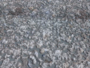 rough rocky terrain pbr 2 CG Textures