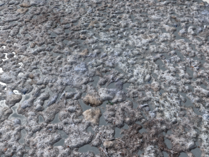 rough rocky terrain pbr 2 CG टेक्स्चर्स