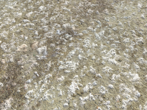 rough rocky terrain pbr 2 CG टेक्स्चर्स
