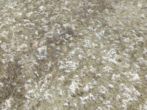 rough rocky terrain pbr 2 CG Textures