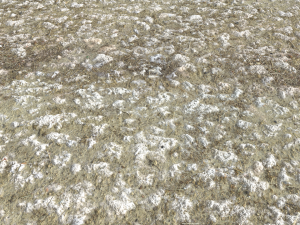 rough rocky terrain pbr 2 CG टेक्स्चर्स