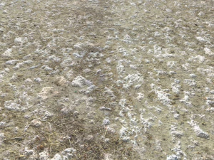 rough rocky terrain pbr 2 CG Textures