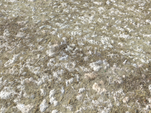 rough rocky terrain pbr 2 CG टेक्स्चर्स