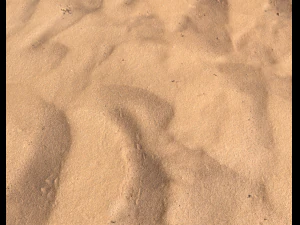 sand terrain pbr pack 8 CG Textures