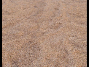 sand terrain pbr pack 8 CG Textures