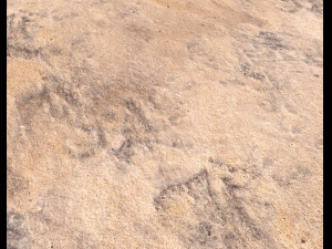 sand terrain pbr pack 8 CG Textures
