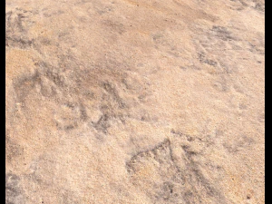 sand terrain pbr pack 8 CG Textures
