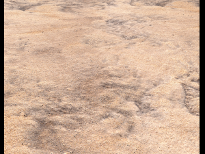 sand terrain pbr pack 8 CG Textures