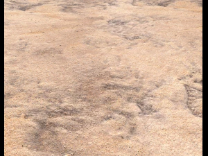 sand terrain pbr pack 8 CG Textures
