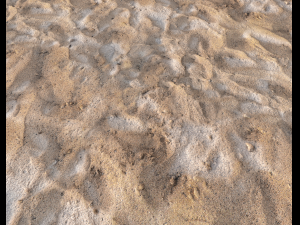 sand terrain pbr pack 9 CG Tekstury