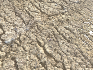 rough terrain pbr 4 CG Textures