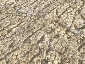 rough terrain pbr 4 CG Textures