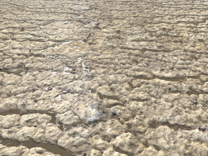 rough terrain pbr 4 CG Textures