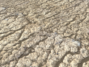 rough terrain pbr 4 CG Textures
