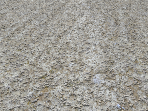 rough terrain pbr 4 CG Textures