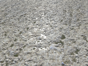 rough terrain pbr 4 CG Textures