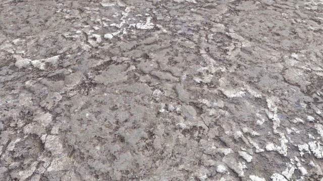 dirty terrain pbr pack 1 CG Textures .c4d .max .obj .3ds .fbx .stl .blend 