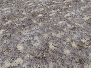 dirty terrain pbr pack 1 CG 纹理
