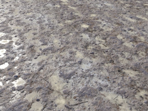 dirty terrain pbr pack 1 CG 纹理